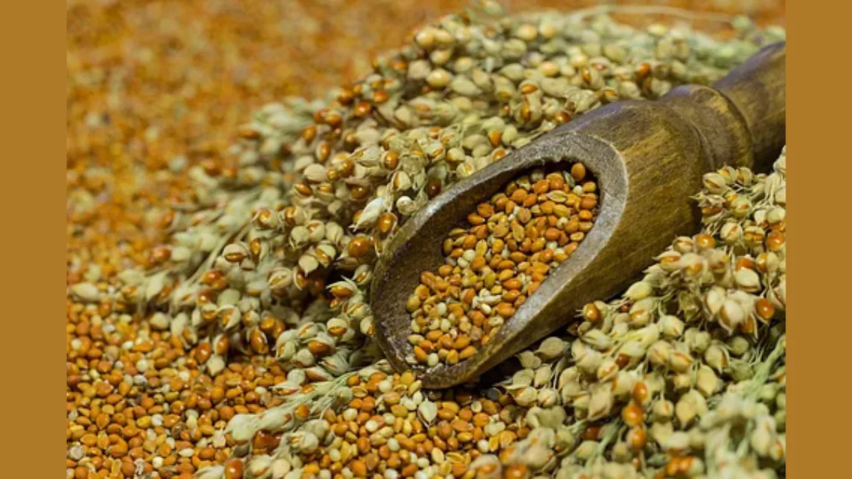 Free Seed Distribution Scheme India 2025